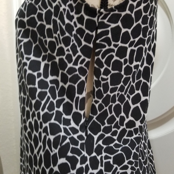 Dana Buchman - Picture 6 of 7